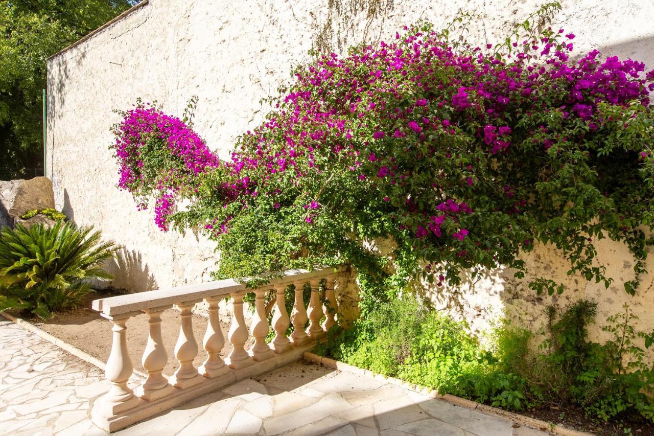 Cannes Villa Simone エクステリア 写真